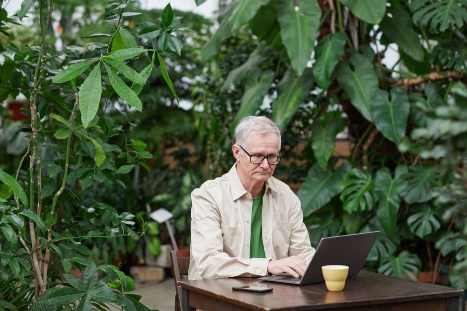 Cumul retraite et revenus freelance : les règles 2026
