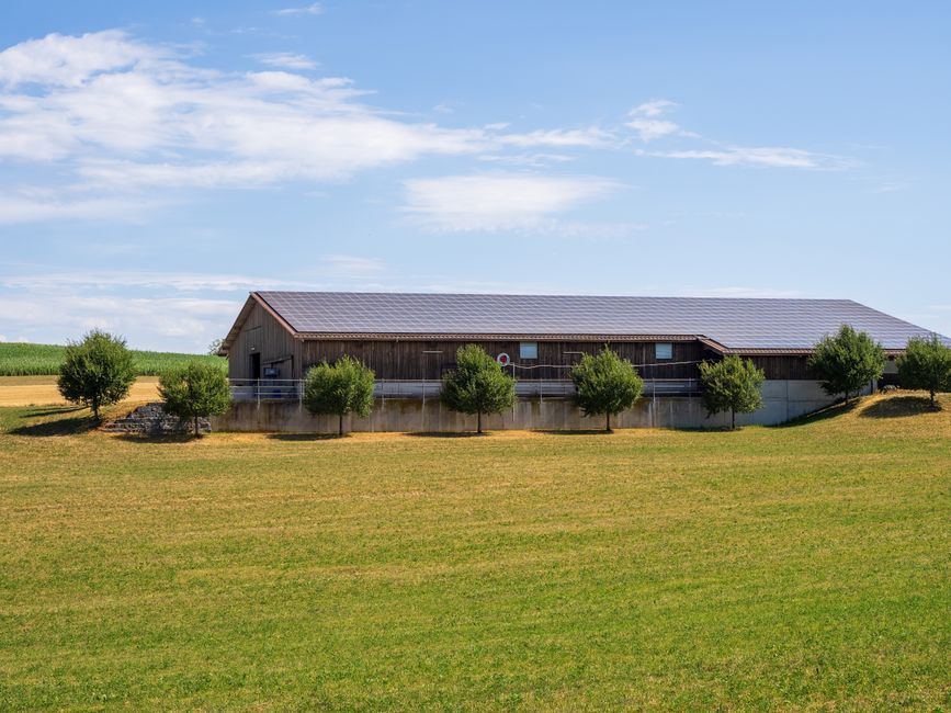 Hangar photovoltaïque 2026 : quel revenu complémentaire ?